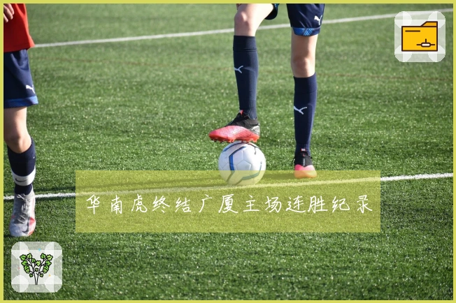 华南虎终结广厦主场连胜纪录